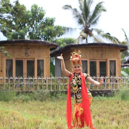 Sawah Ijen Hotel Licin Exterior photo