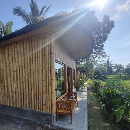 Sawah Ijen Hotel Licin Exterior photo