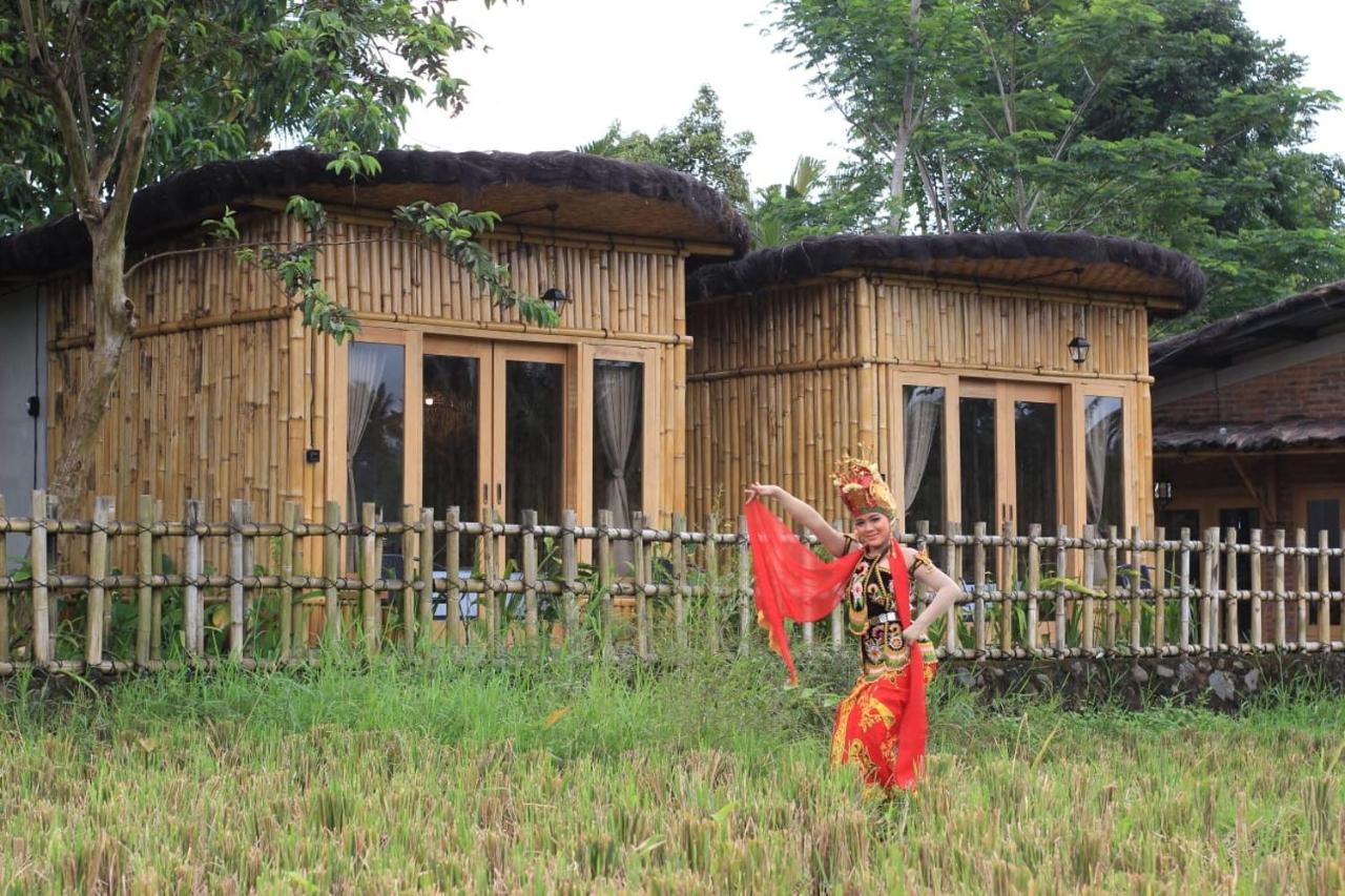 Sawah Ijen Hotel Licin Exterior photo