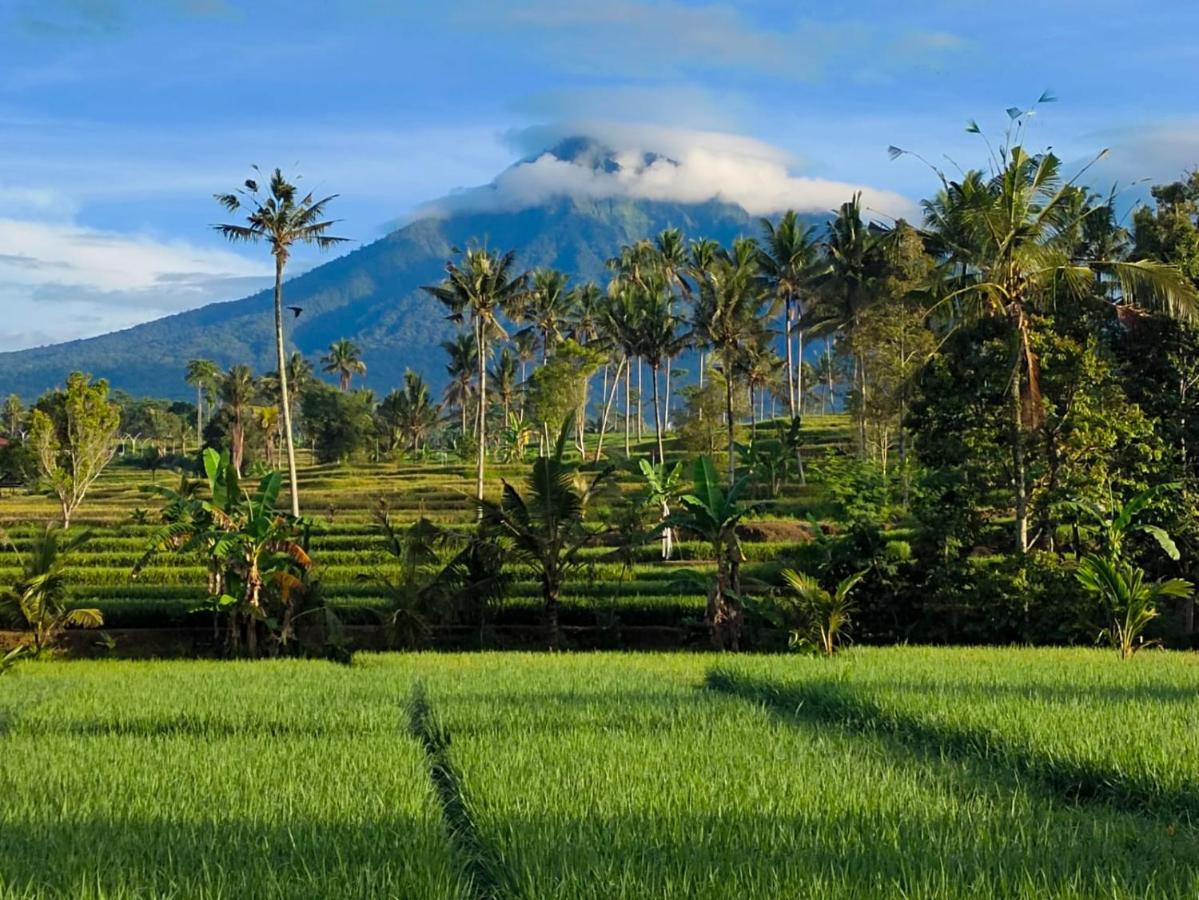 Sawah Ijen Hotel Licin Exterior photo