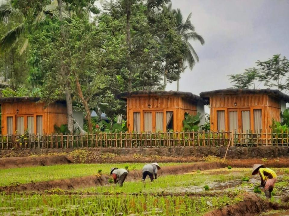 Sawah Ijen Hotel Licin Exterior photo