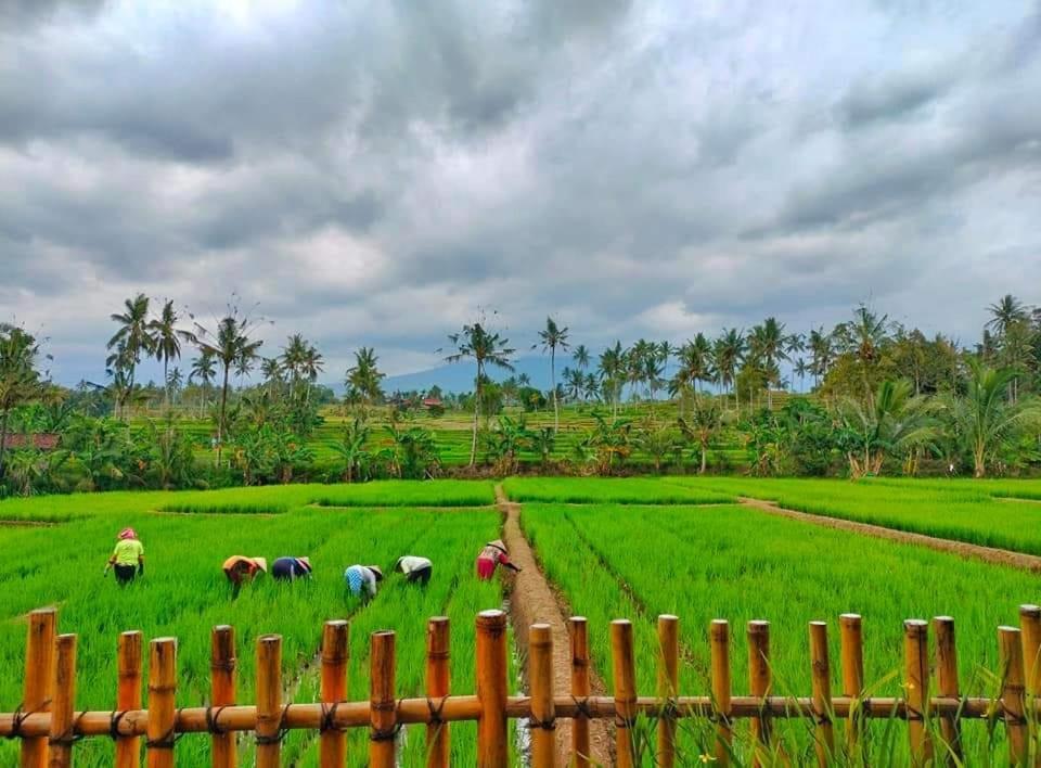 Sawah Ijen Hotel Licin Exterior photo